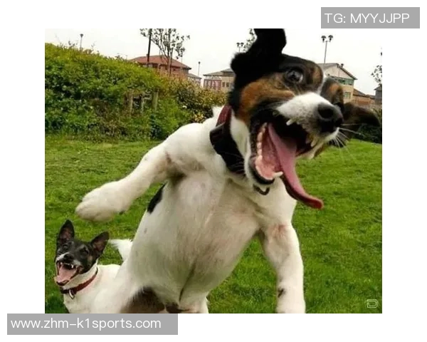 足球场上的幽默瞬间让你捧腹大笑的搞笑段子合集